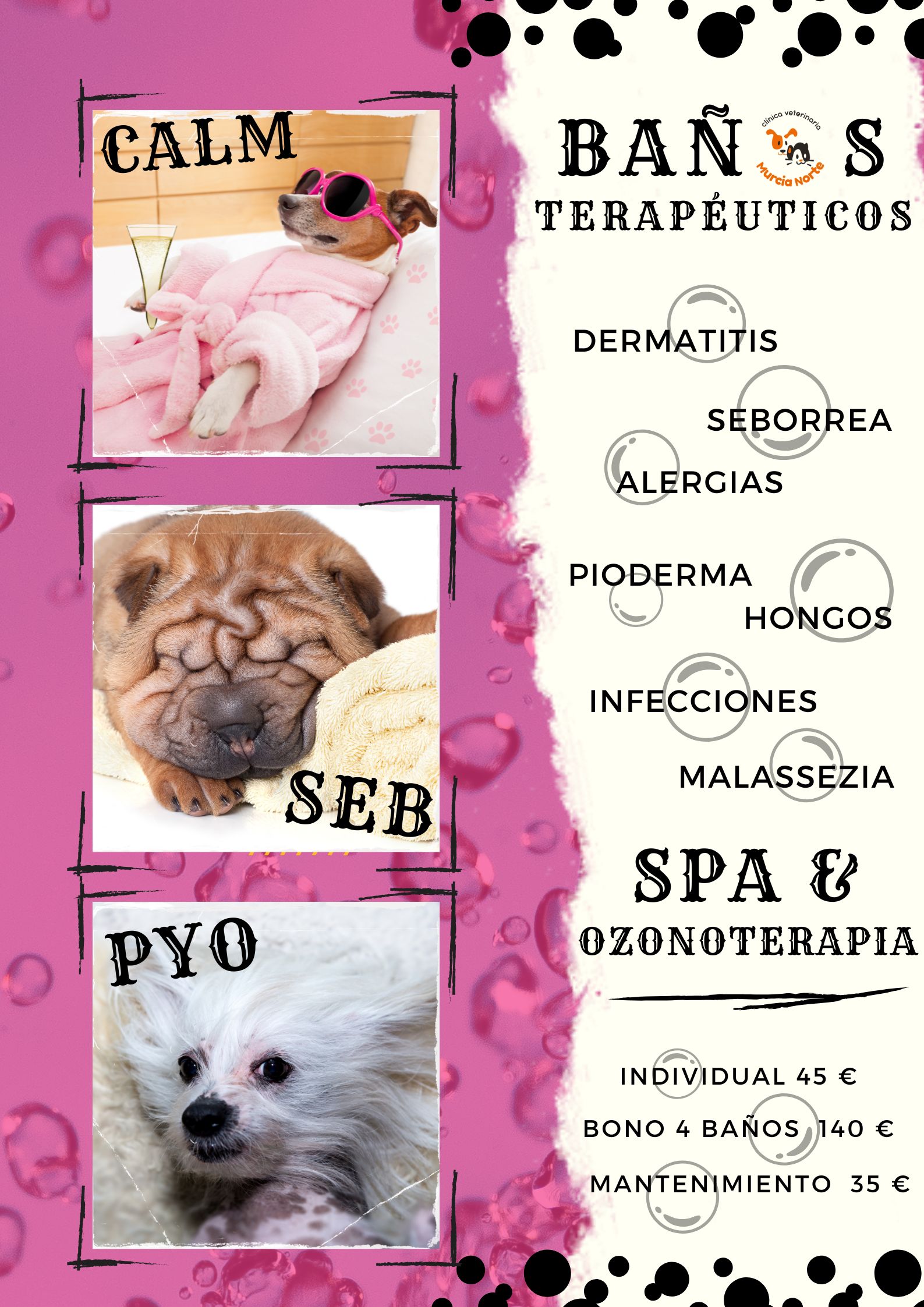 baños terapéuticos, ozonoterapia, SPA canino, tratamiento atopia canina